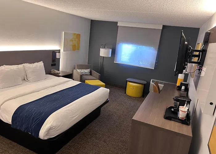 Top Las Vegas Luxury Hotel Experiences